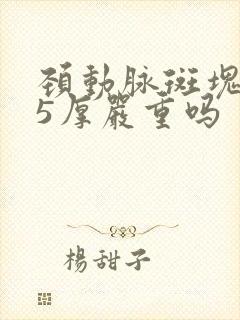 颈动脉斑块1.5厚严重吗