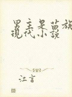 男主是苗族人的现代小说