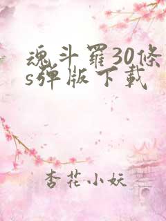 魂斗罗30条命s弹版下载