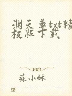 渊天尊txt精校版下载