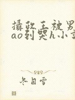 摄政王被男人cao到哭h小说