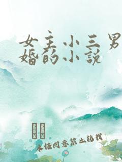 女主小三男主已婚的小说