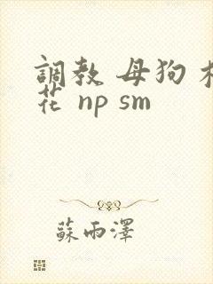 调教 母狗 校花 np sm