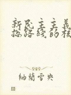 新民主主义革命总路线的核心内容