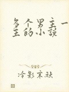 多个男主一个女主的小说