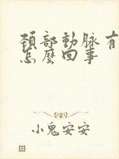 颈部动脉有斑块怎么回事