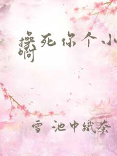 操死你个小骚货啊