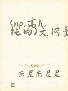 (np,高h,纯肉)文网盘