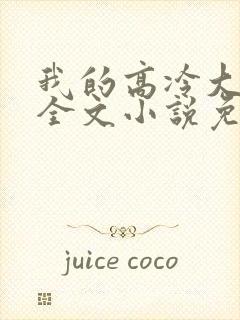 我的高冷大小姐全文小说免费阅读