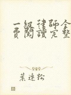 一级律师全文免费阅读完整版