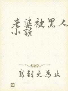 老婆被黑人操的小说