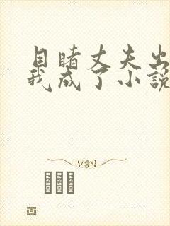 目睹丈夫出轨后我成了小说