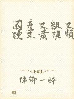 国产又粗又长又硬又黄视频