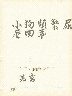 小狗频繁尿是怎么回事