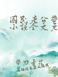 国民老公带回家小说全文免费阅读