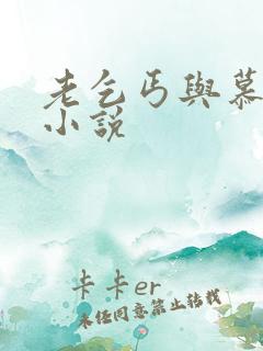 老乞丐与慕容雪小说