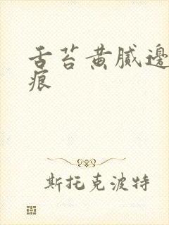 舌苔黄腻边有齿痕