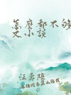 怎么都不够她全文小说