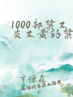 1000部禁又爽又黄的禁片免费观看