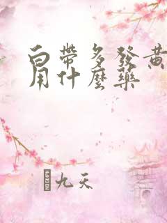 白带多发黄腥臭用什么药