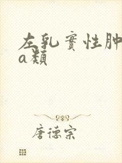 左乳实性肿块4a类