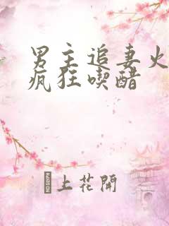 男主追妻火葬场疯狂吃醋