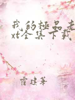 我的极品老婆txt全集下载
