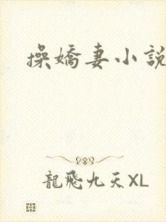 操娇妻小说