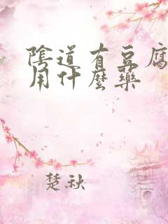 阴道有豆腐渣状用什么药