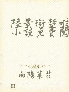 陆景衔楚唯宁的小说免费阅读最新章节