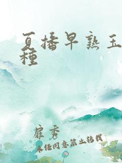 夏播早熟玉米品种