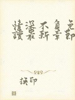 情深不负免费阅读最新章节