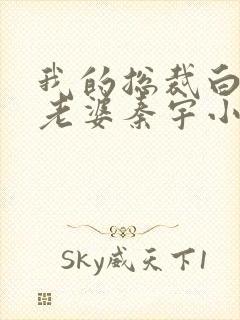 我的总裁白富美老婆秦宇小说未删版