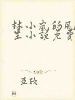 林小岚的风流人生小说免费阅读