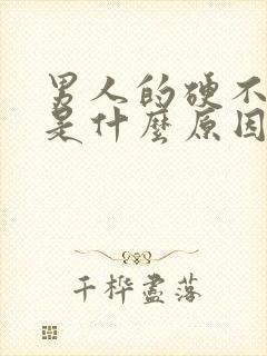 男人的硬不起来是什么原因