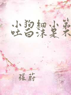 小狗细小第三天吐白沫是不是严重了