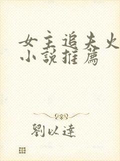 女主追夫火葬场小说推荐