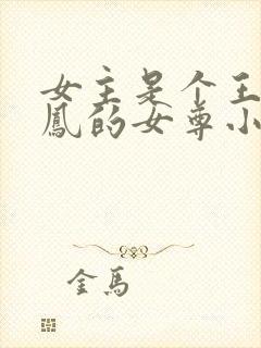 女主是个王爷姓凤的女尊小说