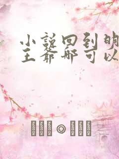 小说回到明朝当王爷哪可以找到