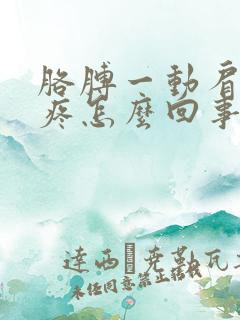 胳膊一动肩膀就疼怎么回事