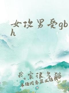 女攻男受gb高h