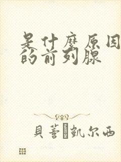 是什么原因导致的前列腺