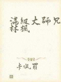 满级大师兄小说林枫