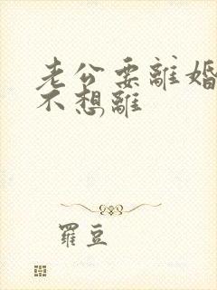 老公要离婚,我不想离