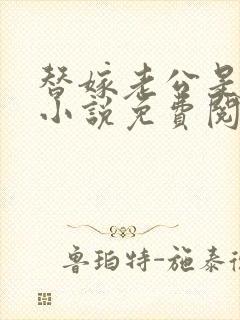 替嫁老公是大佬小说免费阅读