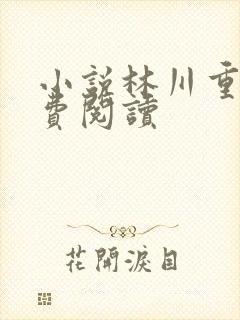 小说林川重生免费阅读