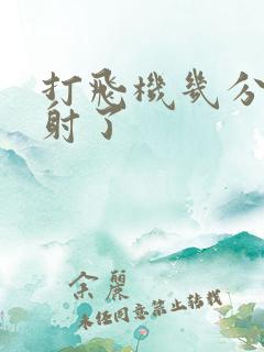 打飞机几分钟就射了