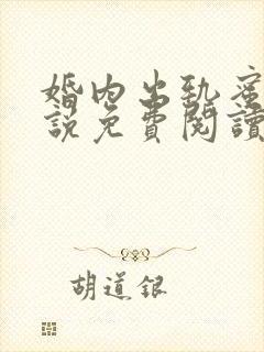 婚内出轨蜜甜小说免费阅读