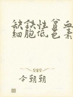 缺铁性贫血是小细胞低色素性贫血吗