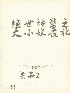 绝世神医之腹黑大小姐夜北